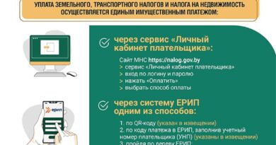 МНС информирует: 17 ноября – срок уплаты имущественных налогов физическими лицами