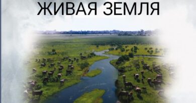 Показ документального фильма «Чернобыль. Живая земля» стартует в Минске